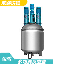 多功能反應釜的構成結構、參數技術典型的主體反應設備設計特點-成